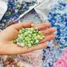 Mixed Size 3-10mm Multi Color ABS  Pearls and Flatback Resin Rhinestone