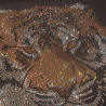35*30cm Iron on Transfer Hotfix Rhinestone Transfer Tiger